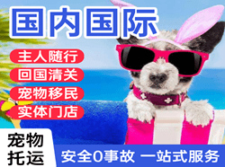 玉龙空运地址国际宠物托运 【国